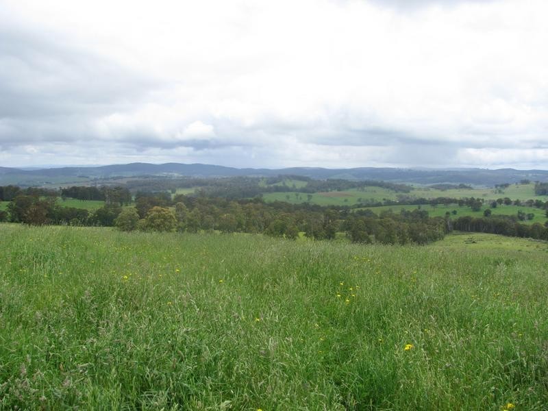 Nowendoc NSW 2354