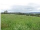 Nowendoc NSW 2354