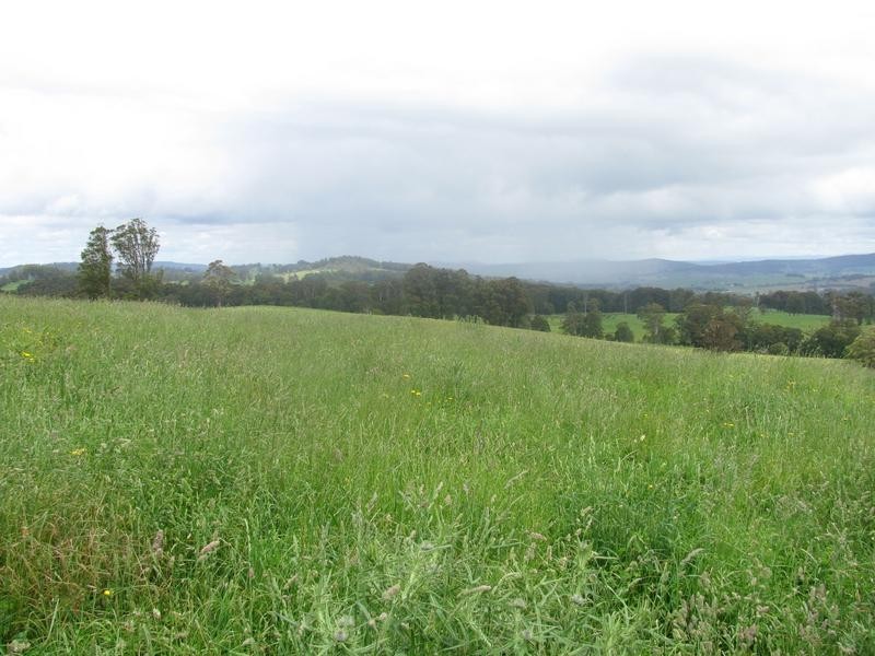 Nowendoc NSW 2354