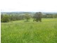 Nowendoc NSW 2354