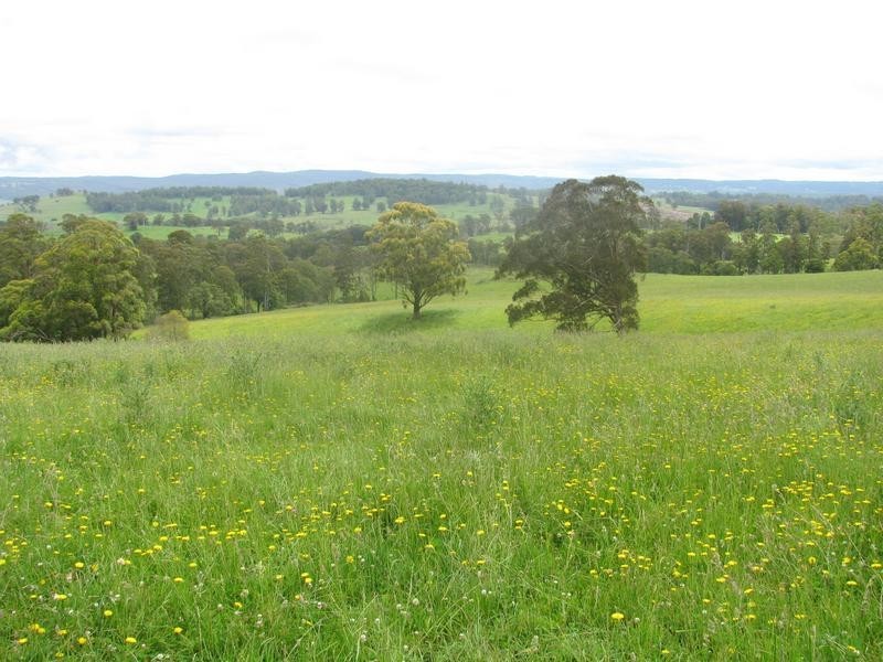 Nowendoc NSW 2354