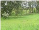 Nowendoc NSW 2354
