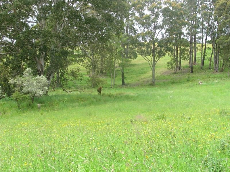 Nowendoc NSW 2354