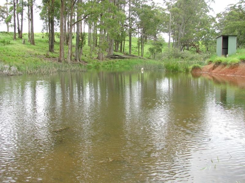 Nowendoc NSW 2354