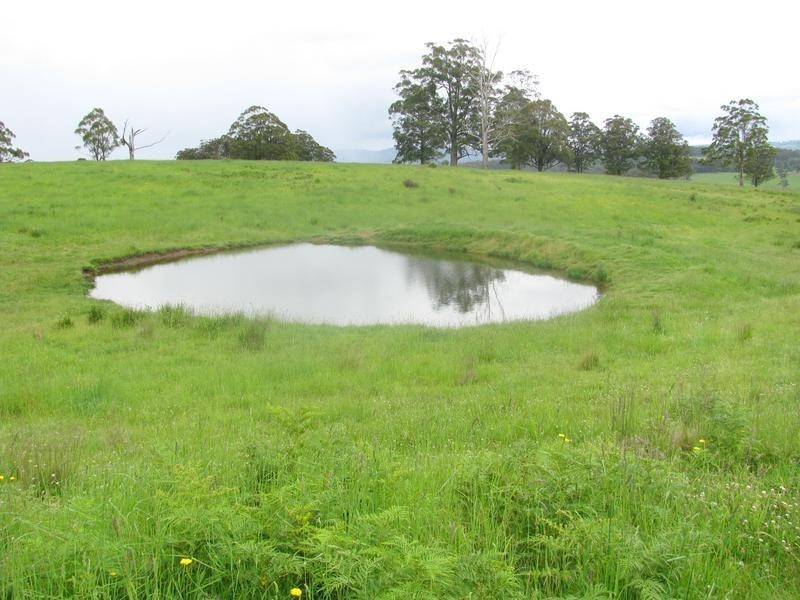 Nowendoc NSW 2354