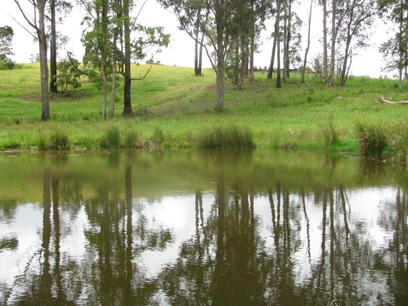 Nowendoc NSW 2354