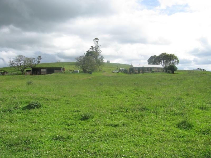 Nowendoc NSW 2354