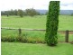 Nowendoc NSW 2354