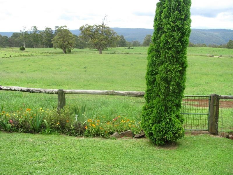 Nowendoc NSW 2354