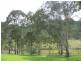 Gloucester NSW 2422