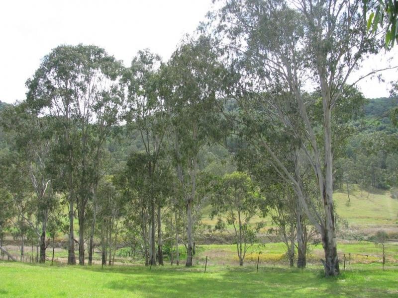 Gloucester NSW 2422