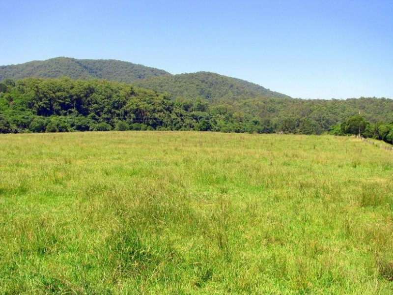 Knorrit Flat NSW 2424