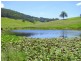 Knorrit Flat NSW 2424