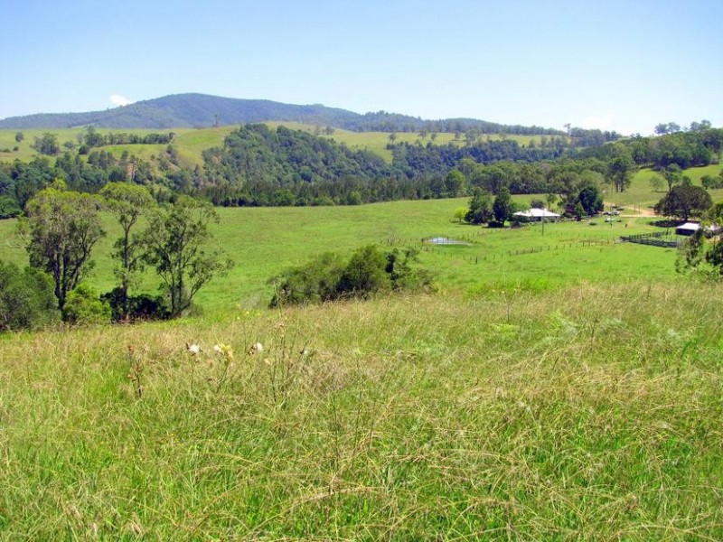 Knorrit Flat NSW 2424