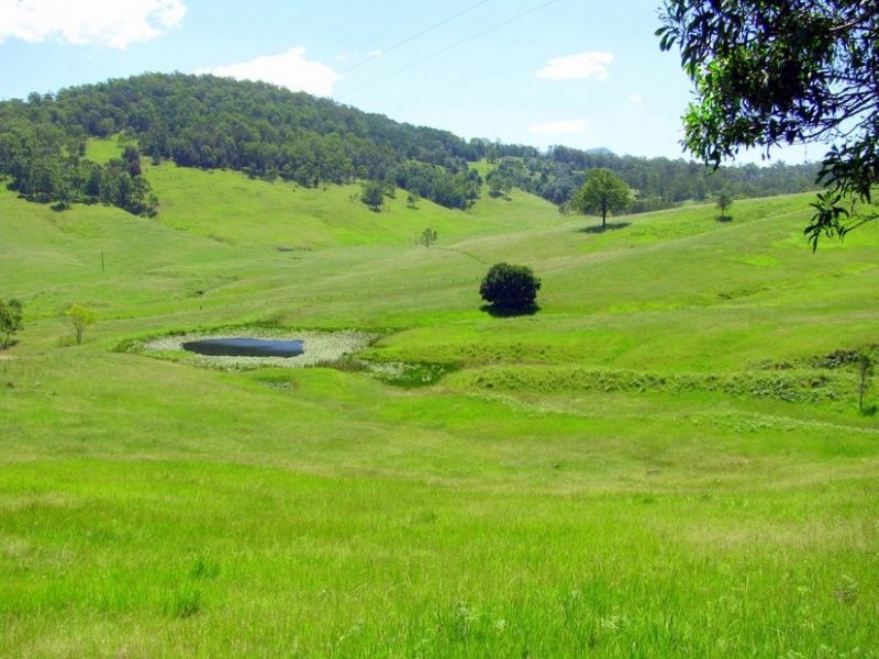 Knorrit Flat NSW 2424