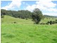 Waukivory NSW 2422