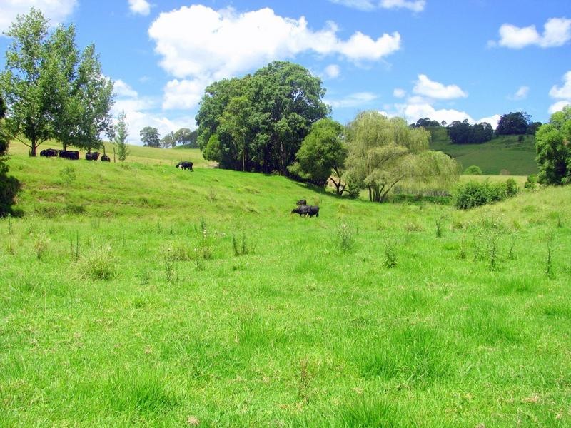 Waukivory NSW 2422