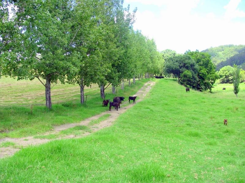 Waukivory NSW 2422