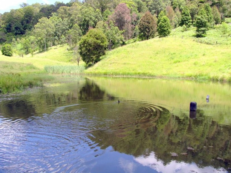 Gloucester NSW 2422