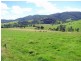 Gloucester NSW 2422