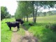 Gloucester NSW 2422