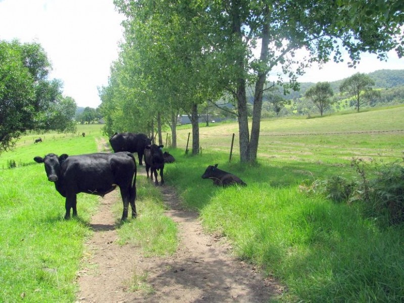 Gloucester NSW 2422