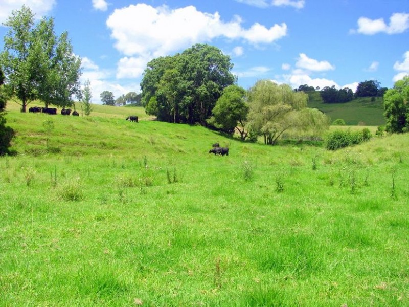 Gloucester NSW 2422