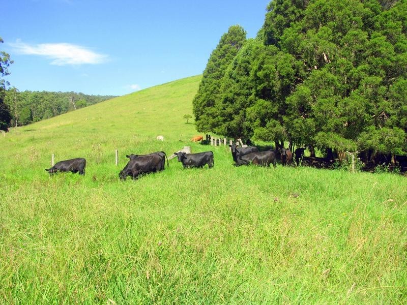 Gloucester NSW 2422