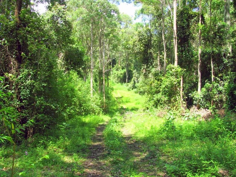 Gloucester NSW 2422