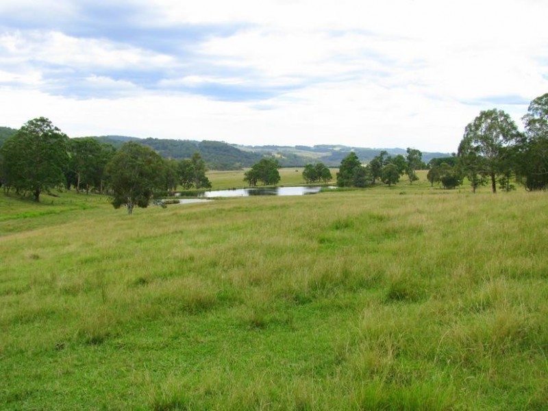 Nowendoc NSW 2354
