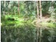 Nowendoc NSW 2354