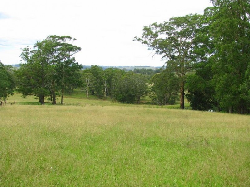 Nowendoc NSW 2354