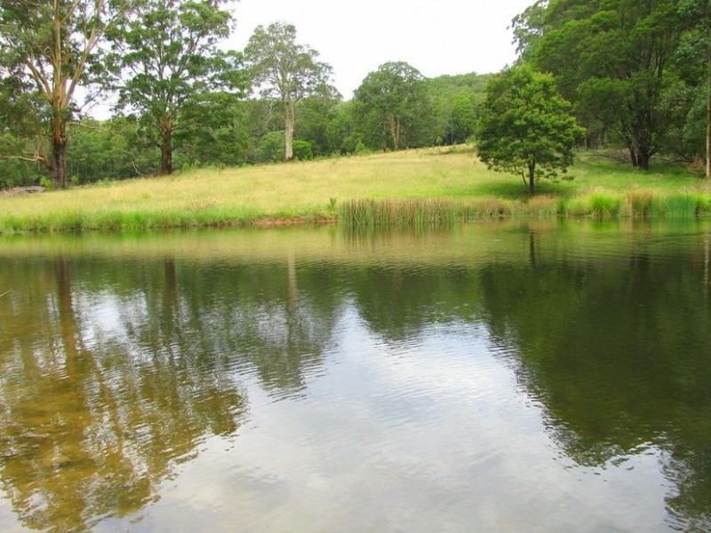 Nowendoc NSW 2354