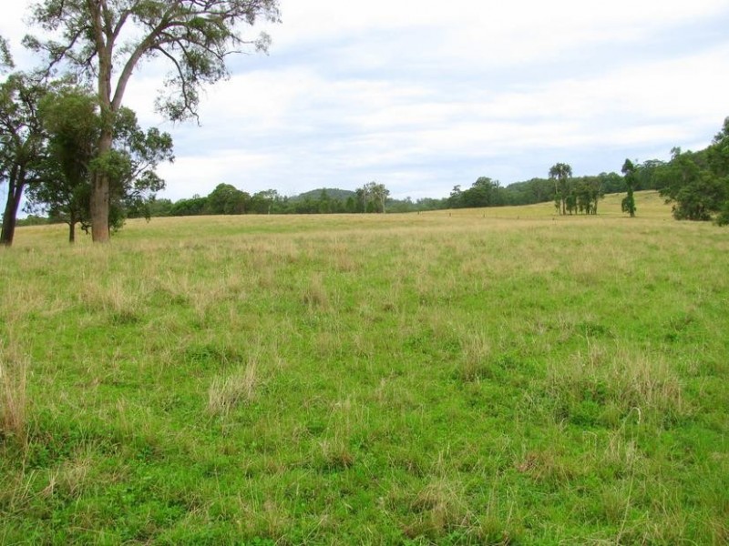 Nowendoc NSW 2354