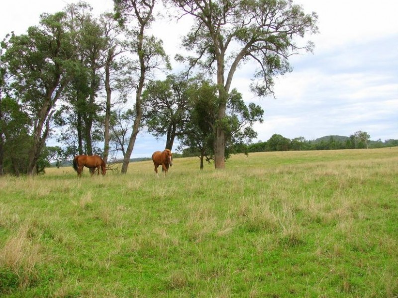 Nowendoc NSW 2354