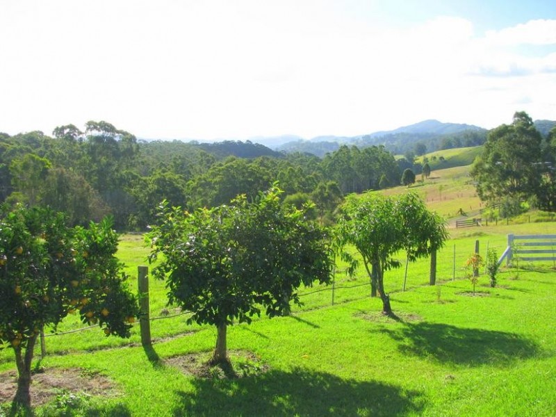 Waukivory NSW 2422