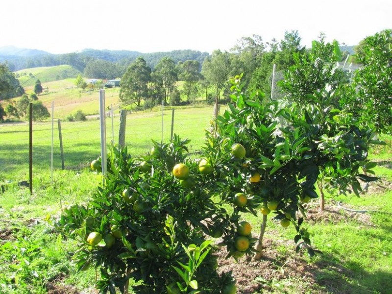 Waukivory NSW 2422
