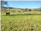 Gloucester NSW 2422