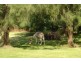 Gloucester NSW 2422