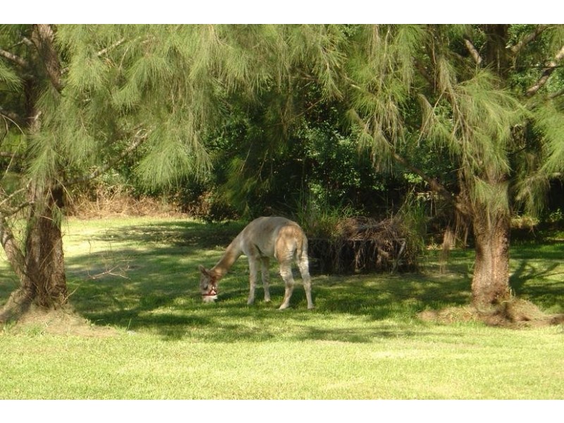Gloucester NSW 2422