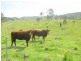 Gloucester NSW 2422