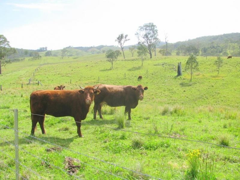 Gloucester NSW 2422