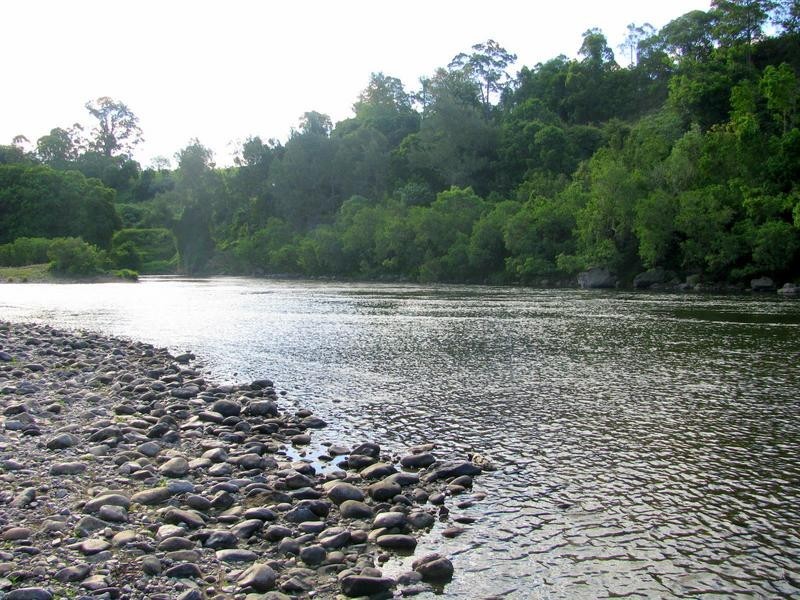 Charity Creek NSW 2424