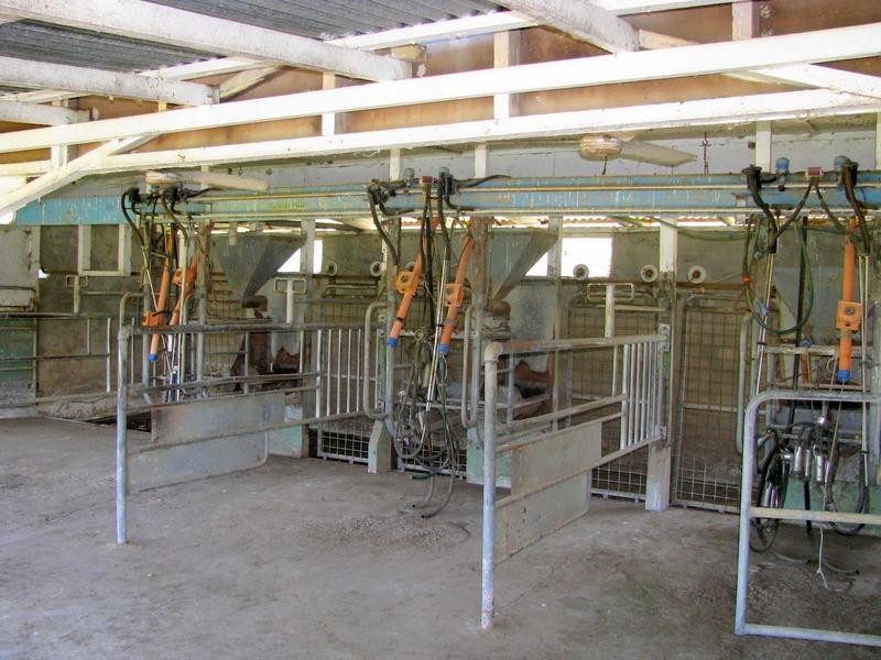 Charity Creek NSW 2424