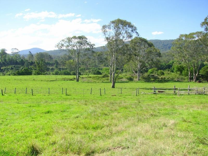 Charity Creek NSW 2424