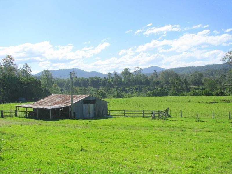 Charity Creek NSW 2424