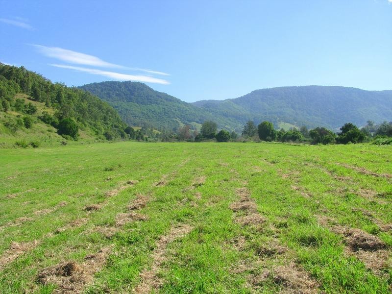 Charity Creek NSW 2424