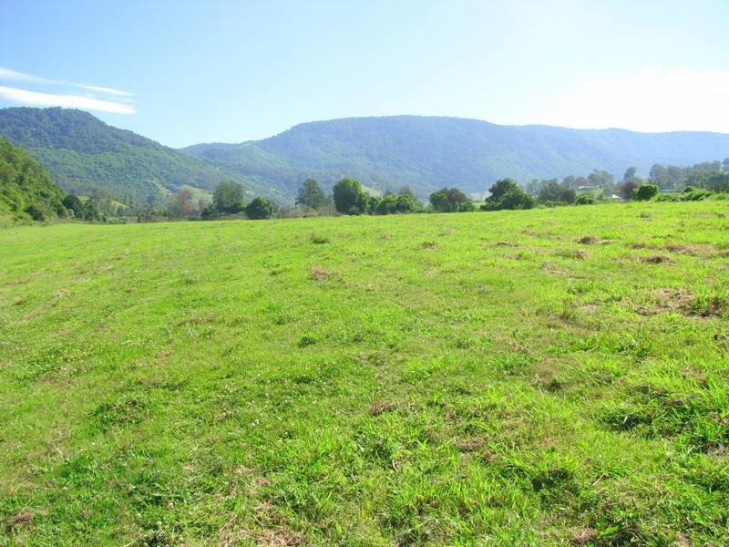 Charity Creek NSW 2424