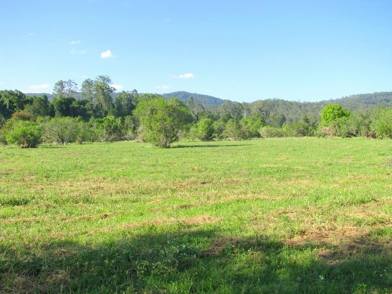 Charity Creek NSW 2424