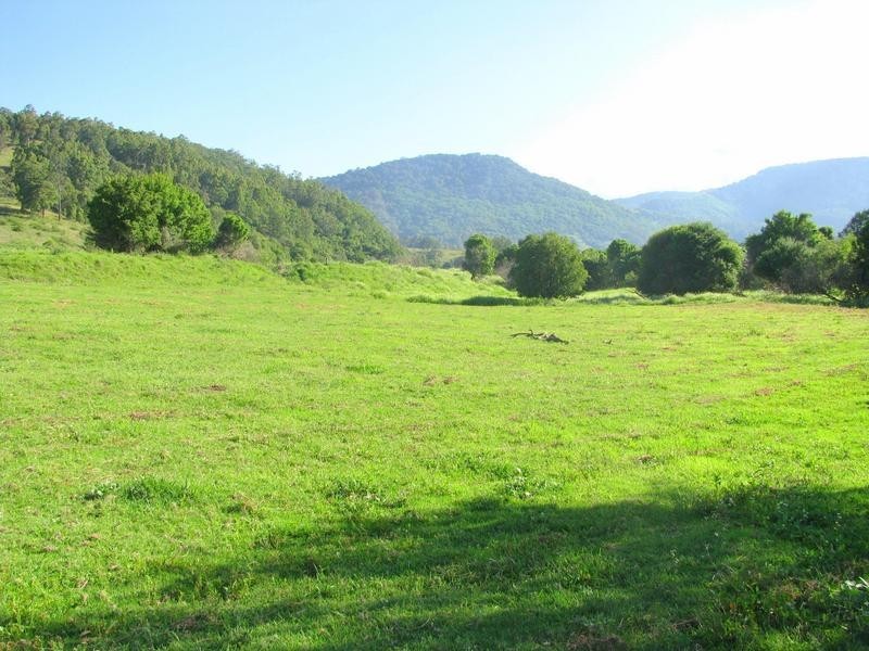 Charity Creek NSW 2424